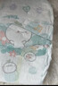 帮宝适（Pampers）【2包】清新帮透氧Pro婴儿拉拉裤超薄透气多规格可选 L码42片*2包 实拍图
