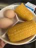 licheers分格蒸盘陶瓷三分格电饭锅圆形蒸盘婴儿宝宝辅食一锅出蒸碗 实拍图