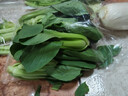 上海青约500g(油菜) 实拍图