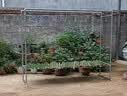 圣诺依琳钢管晾衣架落地家用挂衣架户外双杆晾晒架晒被子 防风款2.0*1.6m 实拍图