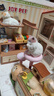 若来（Rolife）超级世界宠物店diy手工小屋积木拼装玩具儿童女孩生日礼物女生 实拍图
