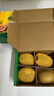 佳沛（zespri）新西兰阳光金果4粒装单果约103-114g 猕猴桃新鲜水果源头直发 实拍图
