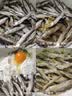 飞鹤臻爱倍护超级飞帆3段 幼儿配方奶粉(1-3岁)900g*6 乳铁蛋白dha 实拍图