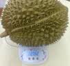 京鲜生 进口金枕头鲜榴莲 净重5-6斤 1个装 生鲜 新鲜水果 新鲜榴莲 实拍图