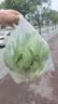 巨奇威无影下水道小飞虫杀虫剂500ml厕所灭杀蛾蚋室内蛾蠓管道除虫 实拍图
