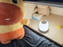 美的（Midea）床头灯卧室柔光小夜灯充电台灯三色调光节日创意礼品礼物起夜灯 实拍图