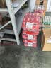 百威红罐啤酒淡色拉格330ml*24听整箱装京东自营新老包装随机发货 实拍图
