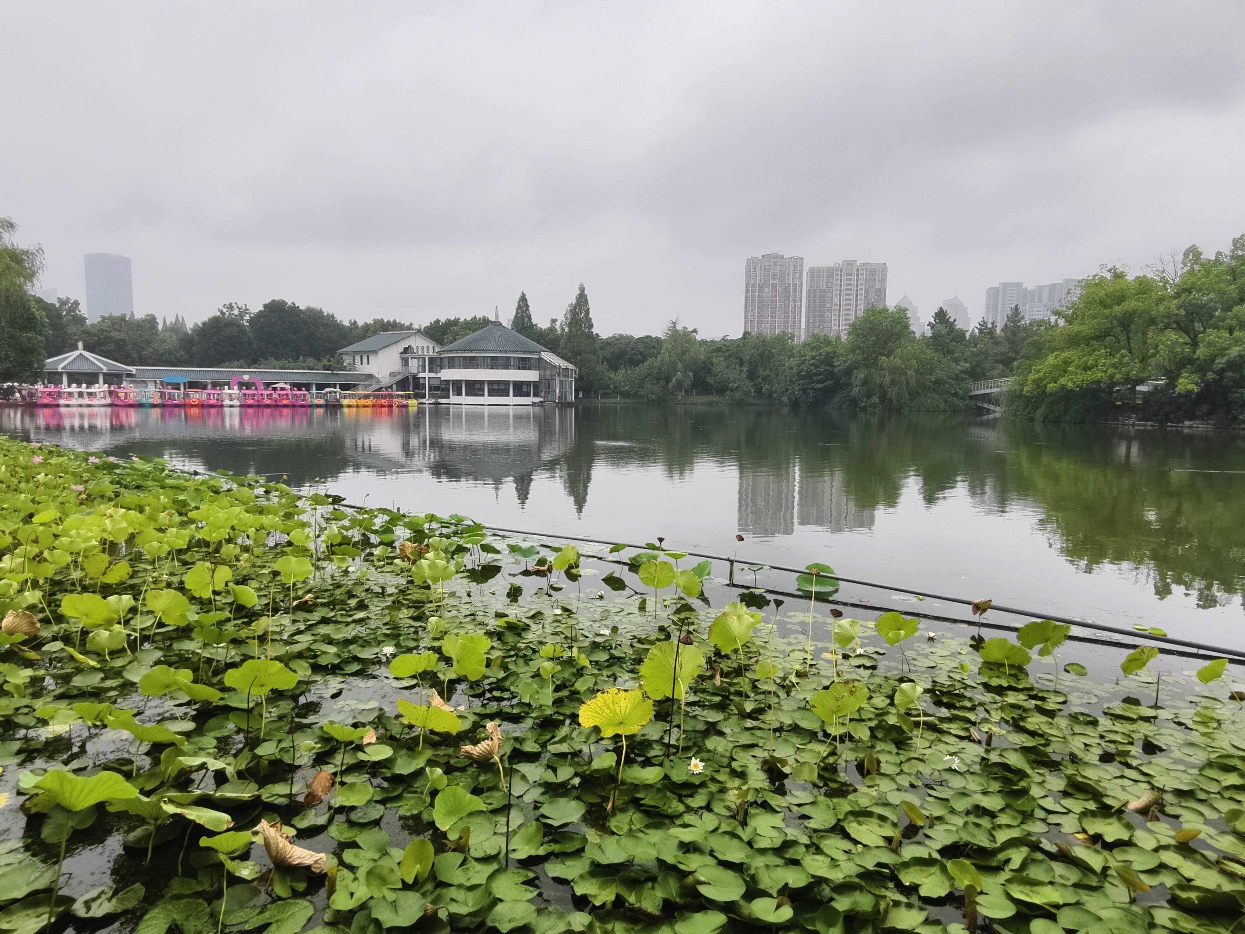 婴芽纸尿裤超薄透气新生婴儿尿不湿男女宝宝通用夏季干爽舒适学步裤 拉拉裤XL46片【11-13.5kg】 实拍图