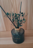 名创优品（MINISO）繁星璀璨系列无火香薰血橙与雪松100mlL室内卧室清新剂香氛礼物 实拍图