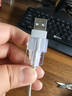 数据线保护套type-c苹果华为防折断通用缠绕13充电器20W立体可爱防污防脏防宠物撕咬安装简单 帕恰狗三件套-type-C口+USB口 实拍图