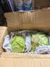京鲜生山东新鲜绿甘蓝净重3斤 卷心菜 包菜 甘蓝新鲜蔬菜 源头直发 实拍图