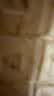 爱普生（EPSON）喷墨打印机6寸 A6 A4 A3+ 7英寸 原装相纸 照片纸 色彩鲜艳打印清晰 RC亚光高光泽相片纸 原装6寸丨100张丨RC光泽丨S450386 实拍图