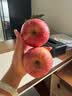 京鲜生 烟台红富士苹果 净重10斤 单果190g以上 礼盒装 生鲜水果 实拍图