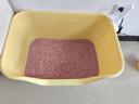 狮子医生 猫砂10斤豆腐猫砂水蜜桃味祛味低尘可冲厕所带真玫瑰花瓣 5kg/袋 实拍图