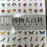 DK博物大百科（老版）  实拍图