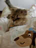 名创优品（MINISO）猫砂豆腐膨润土混合猫砂京东自营20斤送货上门强效除臭猫咪猫砂 实拍图