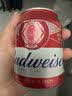 百威啤酒mini红罐淡色拉格255ml*24小罐整箱装京东自营喜酒 实拍图