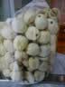 燕之坊有机贡玉香莲子 220g 去芯磨皮干货无硫熏药食同源百合莲子银耳羹 实拍图