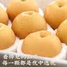 粤迎正宗山东秋月梨【顺丰送货上门】冰糖脆甜梨子新鲜中秋节送礼物盒 5斤礼盒装【送礼优选装-较较划算】净4.5斤 A+级精选果【单果302-351g】甜 实拍图