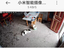 小米智能摄像机 3 3K家用云台摄像头500万像素室内监控器360度无死角带夜视手机远程婴儿宠物 实拍图