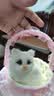 亦趣仿真猫咪玩偶会叫提篮小猫咪毛绒玩具篮子猫女孩儿童生日礼物 提篮粉色蕾丝白猫带叫声 实拍图