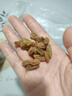 良品铺子新疆绿葡萄干520g新疆特产无核大颗粒免洗葡萄干健康休闲零食 实拍图