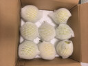 京鲜生河北青翠蜜梨 净重4.5斤 单果250g+ 生鲜水果 源头直发 实拍图