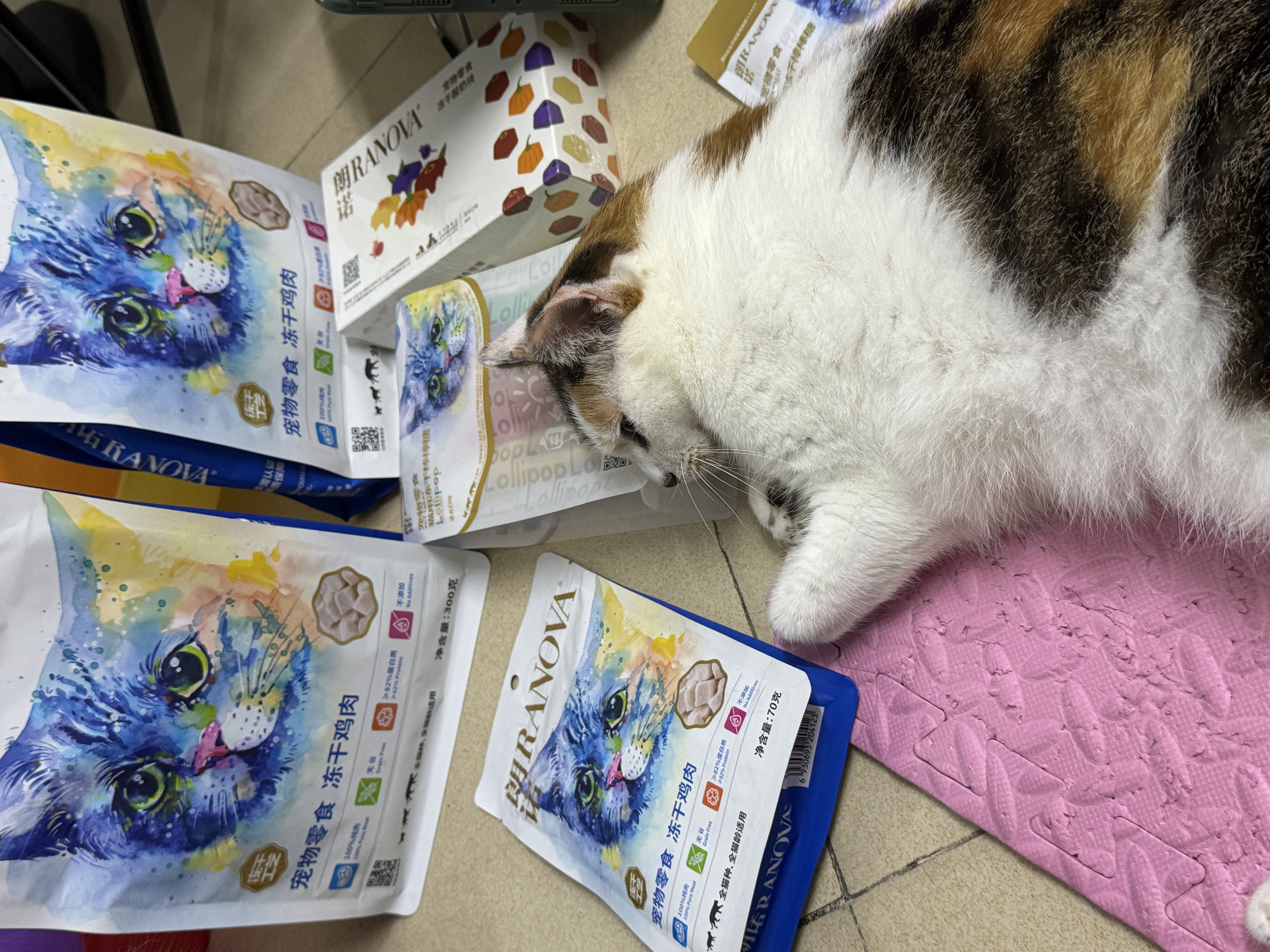 朗诺（RANOVA）朗诺冻干鸡肉猫咪零食成幼猫粮高蛋白免疫宠物食品300g*2袋 实拍图