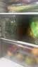 佳帮手冰箱收纳盒专用食品级透明冰箱保鲜盒鸡蛋蔬菜密封厨房冷冻储物盒 实拍图