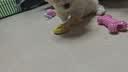 HELLOJOY狗狗玩具球小狗磨牙棒骨头耐咬狗咬胶小型犬宠物用品幼犬自嗨解闷 实拍图