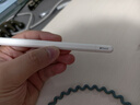 Apple/苹果 Pencil(USB-C) 磁吸触控笔手写笔苹果笔电容笔iPad笔 适用iPad(A16)/mini/Pro/Air 实拍图