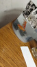 锦鲤鱼锦鲤活鱼活体小鱼苗观赏鱼好养耐活观赏鱼鱼缸鱼池好养耐活 3-5cm特价随机锦鲤1送1备损 实拍图