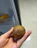 佳沛（zespri）新西兰 阳光金果25-27粒原箱特大果单果124-146g 猕猴桃水果礼盒 实拍图