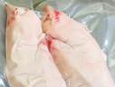 京东跑山猪 黑猪特级猪蹄 2斤(1斤*2小包) 带主筋带皮猪手猪脚烧烤卤猪蹄 实拍图