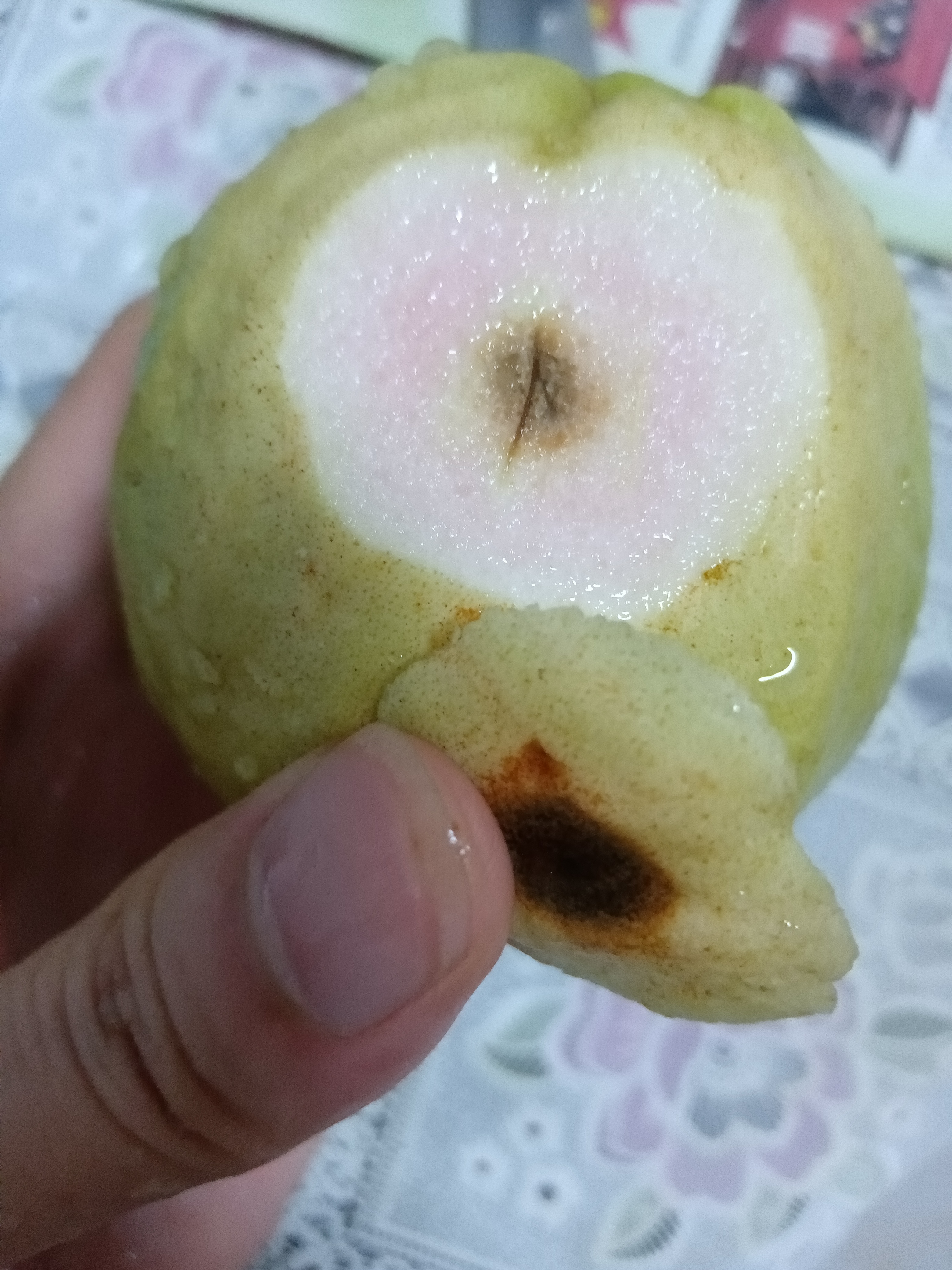 京喜加正宗广东产红心芭乐水果新鲜包邮低糖软糯鸡屎果巴乐胭脂红番石榴 草莓红心芭乐（2个装） 实拍图