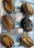 海鲜世家福州冷冻大鲍鱼净重360g袋10粒火锅烧烤食材生鲜贝类海鲜 实拍图