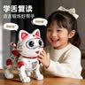 恩贝家族儿童早教益智玩具电动智能机器猫录音跳舞锻炼语言男女孩生日礼物 实拍图