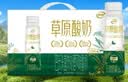 伊利草原酸奶巴氏杀菌原味酸奶230g*10瓶/箱 礼盒装 5月底产 实拍图