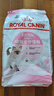 皇家猫粮 幼猫猫粮 幼猫奶糕 K36 通用粮 4-12月 4.5KG 实拍图