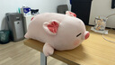 名创优品（MINISO）小猪B-BO弹力超柔趴姿公仔毛绒玩偶儿童玩具抱枕靠枕生日七夕礼物 实拍图