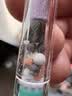 HADLEY德国品牌过滤烟嘴45重双芯一次性过滤器抛弃型香烟过滤咬嘴 100支 实拍图