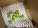 [舒宁安] 孟鲁司特钠片 10mg*10片/盒 实拍图