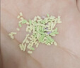 爷爷的农场果蔬肽盐宝宝盐70g 减钠57%调味儿童食用盐 送婴儿一岁辅食谱 实拍图