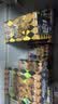 【新华书店旗舰店】JOJO的奇妙冒险第123456部全套 乔乔的奇妙冒险漫画幻影之血战斗潮流星尘斗士不灭钻石 荒木飞吕彦著日本动漫漫画书 第三部星尘斗士 共16册 实拍图