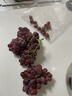 京鲜生 克伦生无籽红提 尝鲜装2-2.3斤 爽脆爽口 皮薄可食 生鲜水果 实拍图