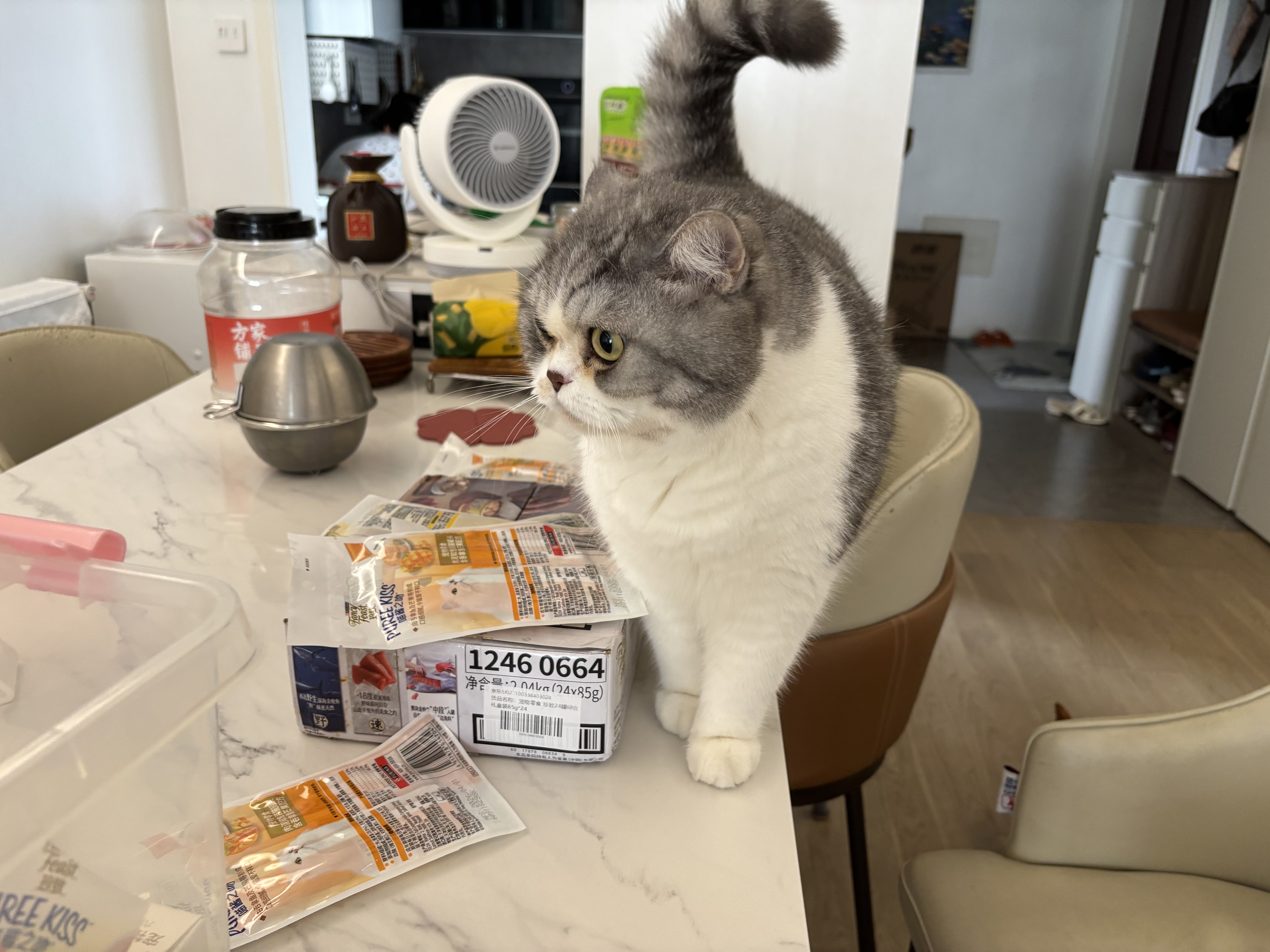 珍致猫咪零食磨牙洁齿成猫幼猫饼干60g鸡牛肉三文鱼喵脆之吻系列 喵脆随机混合口味60g*10包-效期26.12起 实拍图