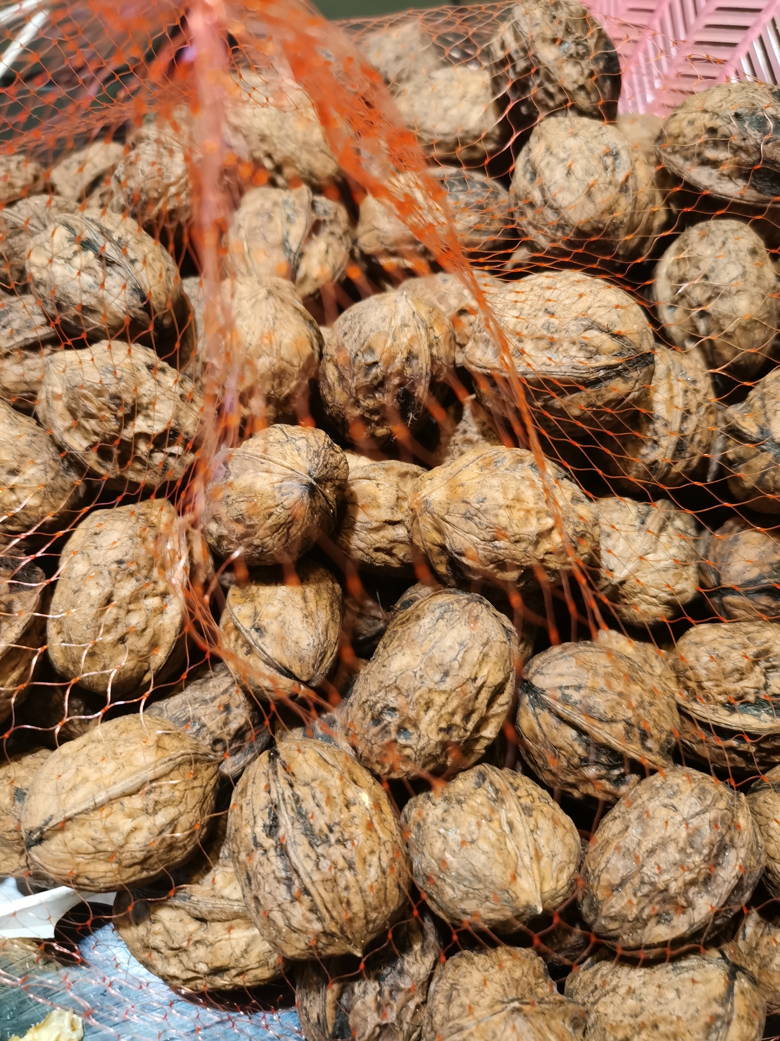 鲜级佳大凉山新鲜湿核桃去青皮嫩核桃老树薄纸皮核桃孕妇专用生核桃新货 3斤【去青皮】送夹子丨品质升级 实拍图