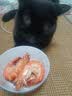 WEYES冻干鸡小胸500g桶装宠物猫狗零食肉干营养高蛋白适口性好 实拍图