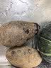 京鲜生佳农宝菜山东黑紫土豆粉糯绵密天然花青素净重4.5斤装源头直发 实拍图