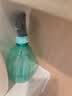 喷壶浇花浇水喷雾器气压式喷水壶家用园艺养花500ml 南瓜喷壶透蓝【1个装】 实拍图